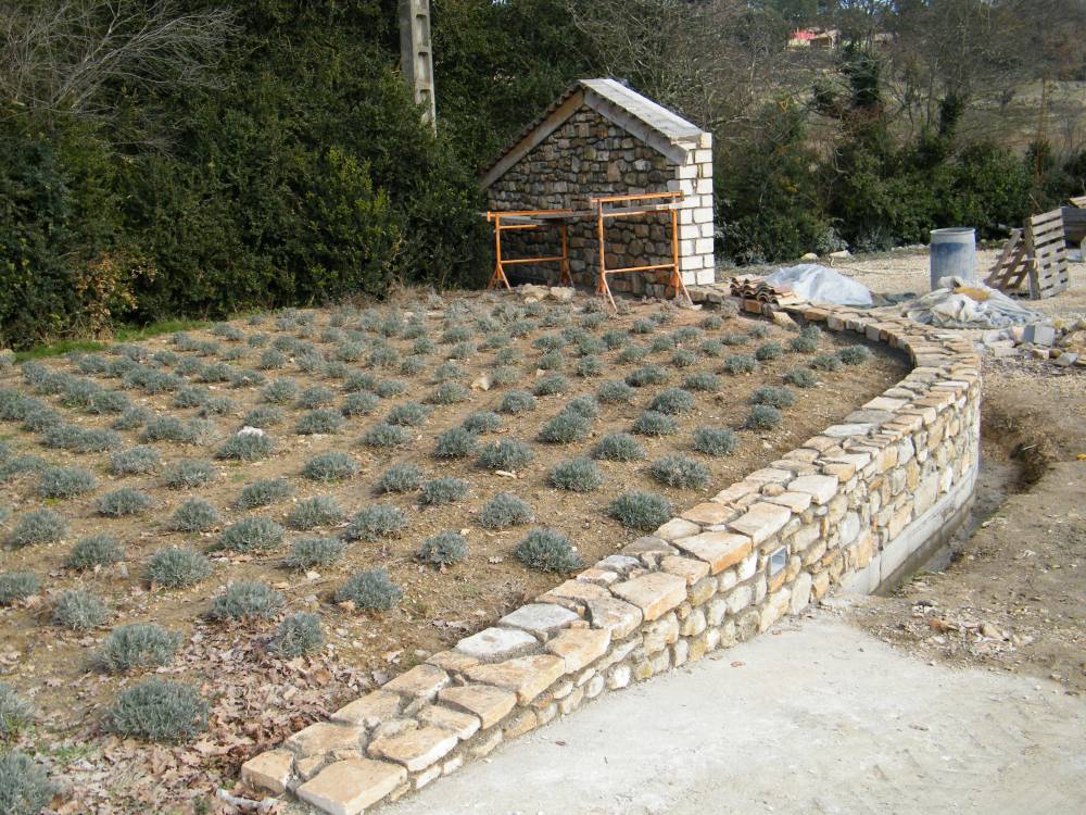 DSCF3930.JPG