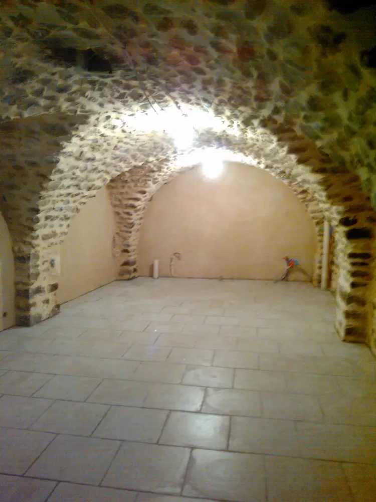 renovation-mur-salavas.jpg